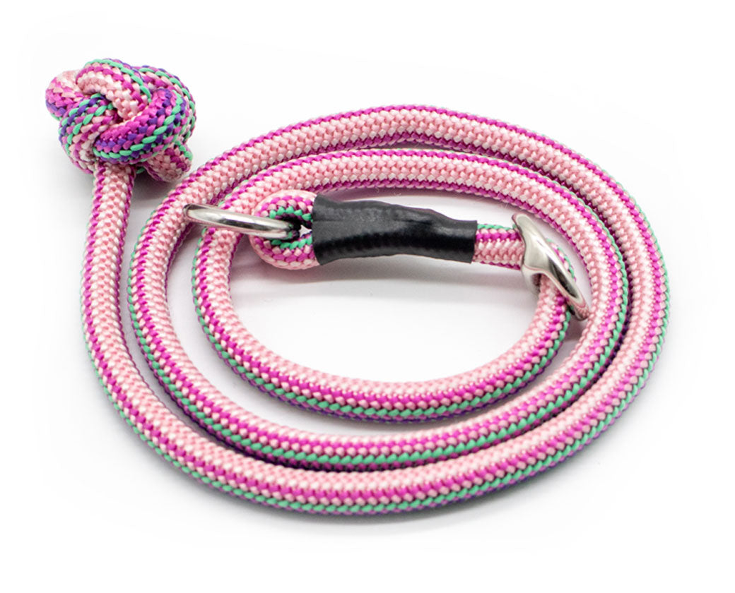 Basic Retrieverleine Taja