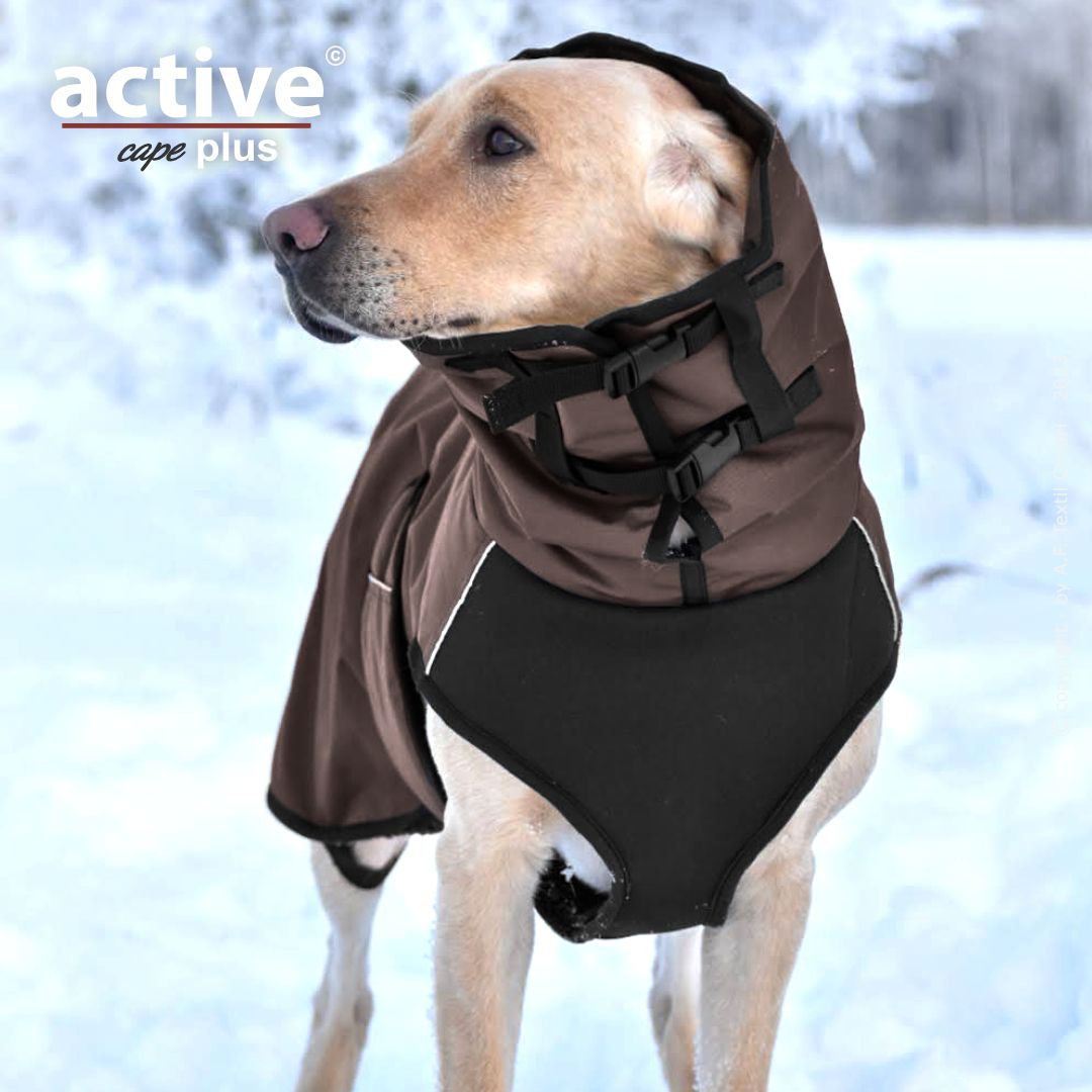 active© cape elastic plus