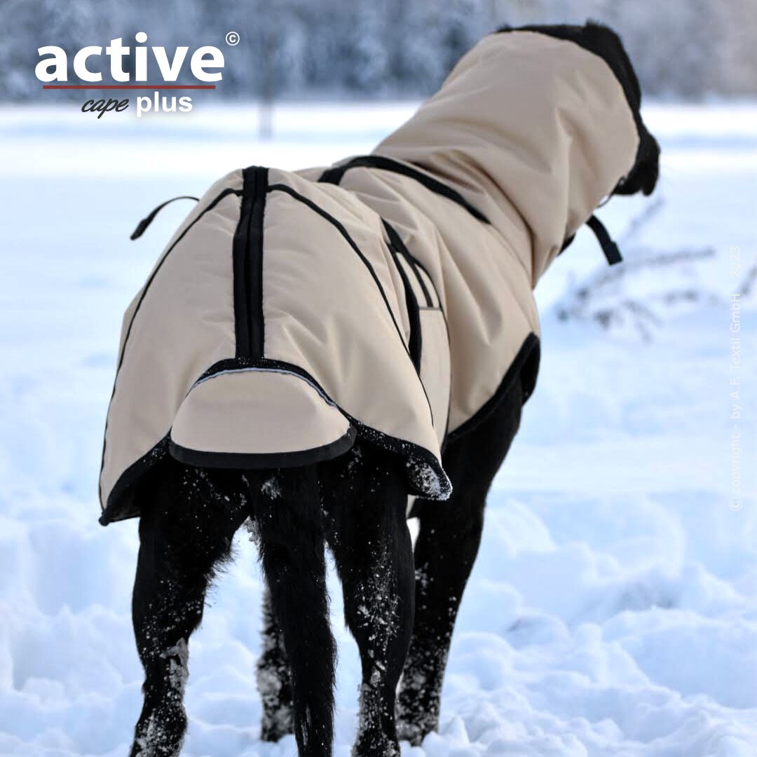 active© cape elastic plus