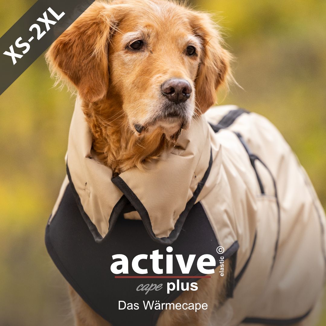 active© cape elastic plus