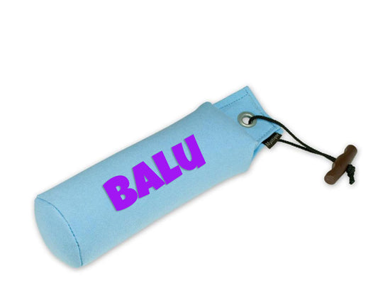 Personalisierter Mystique® Standard Dummy hellblau 250g / 500g