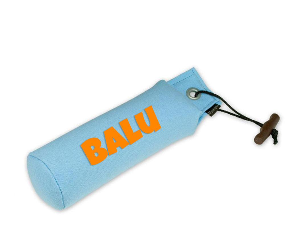 Personalisierter Mystique® Standard Dummy hellblau 250g / 500g