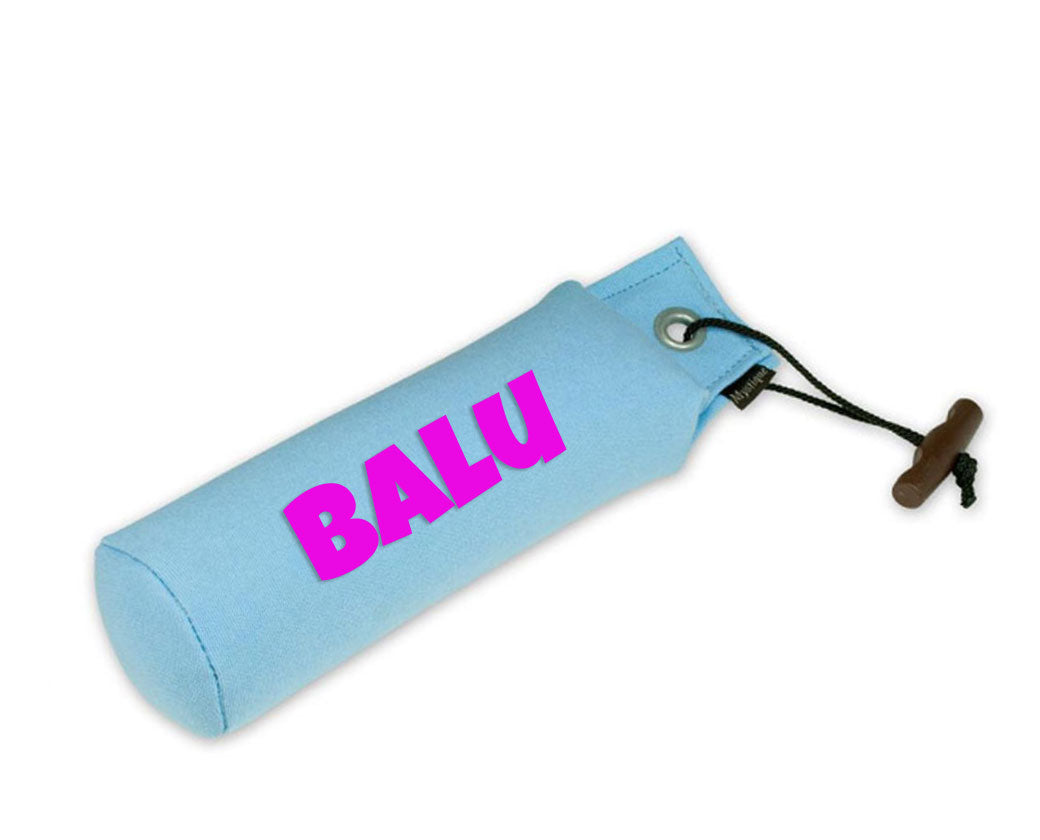 Personalisierter Mystique® Standard Dummy hellblau 250g / 500g