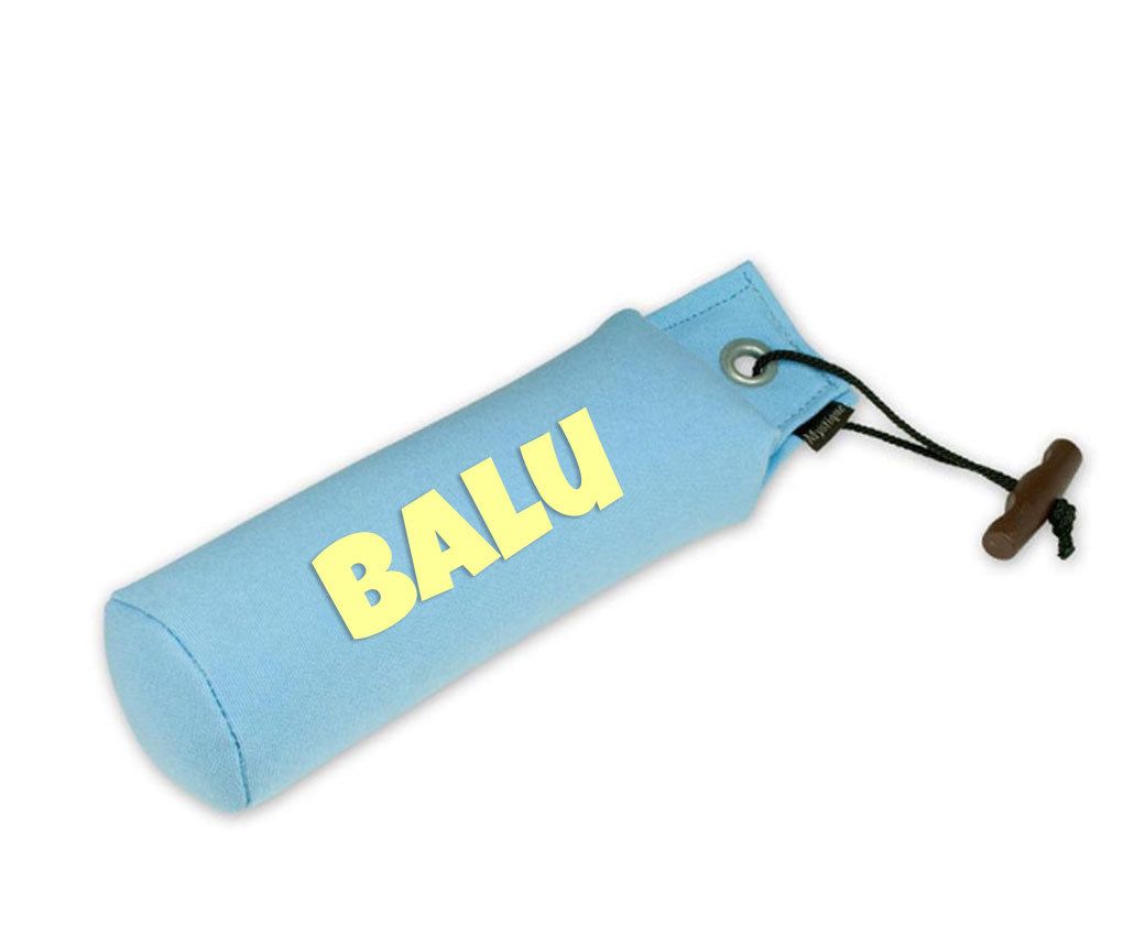 Personalisierter Mystique® Standard Dummy hellblau 250g / 500g