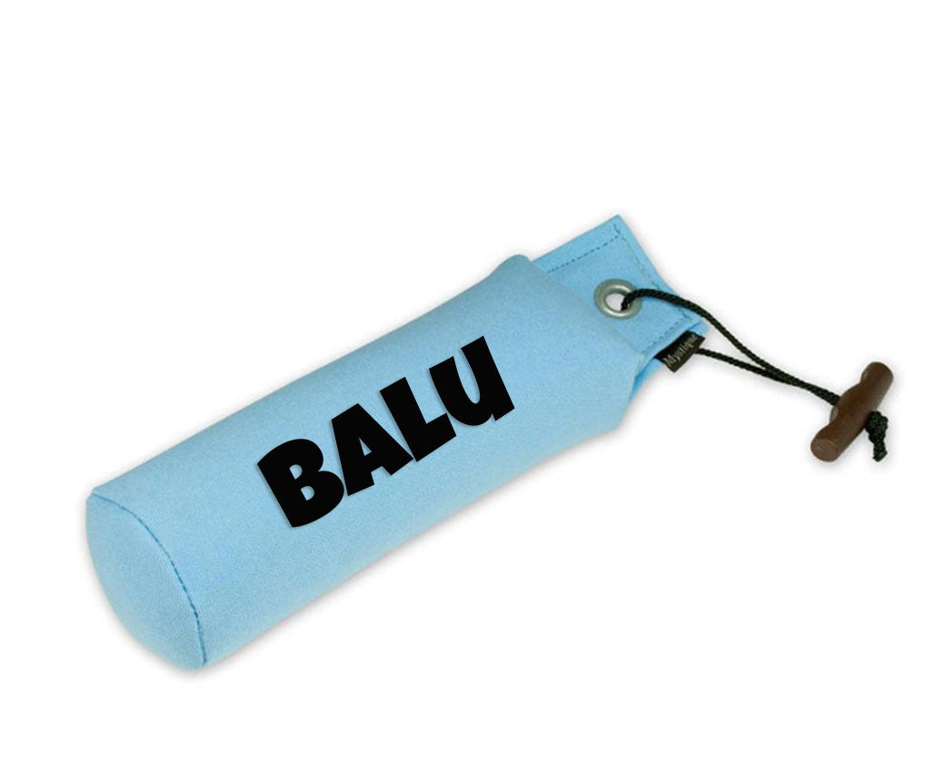 Personalisierter Mystique® Standard Dummy hellblau 250g / 500g
