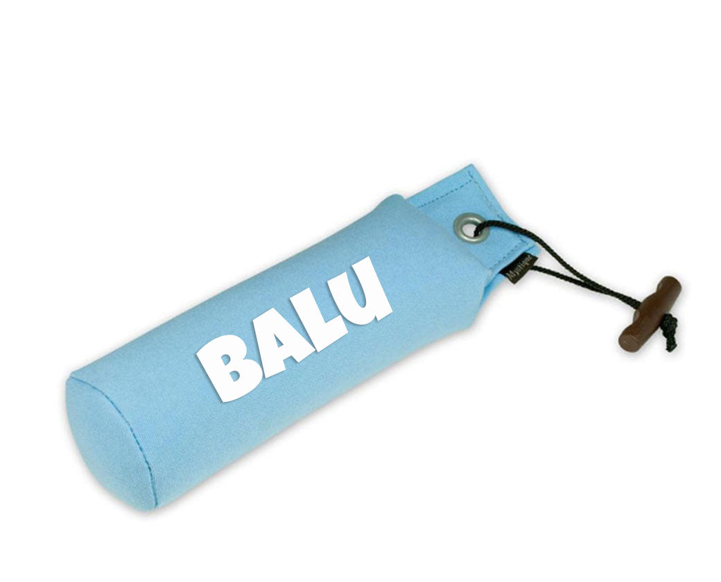 Personalisierter Mystique® Standard Dummy hellblau 250g / 500g