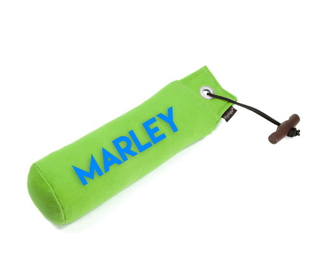 Personalisierter Mystique® Standard Dummy neongrün 250g / 500g