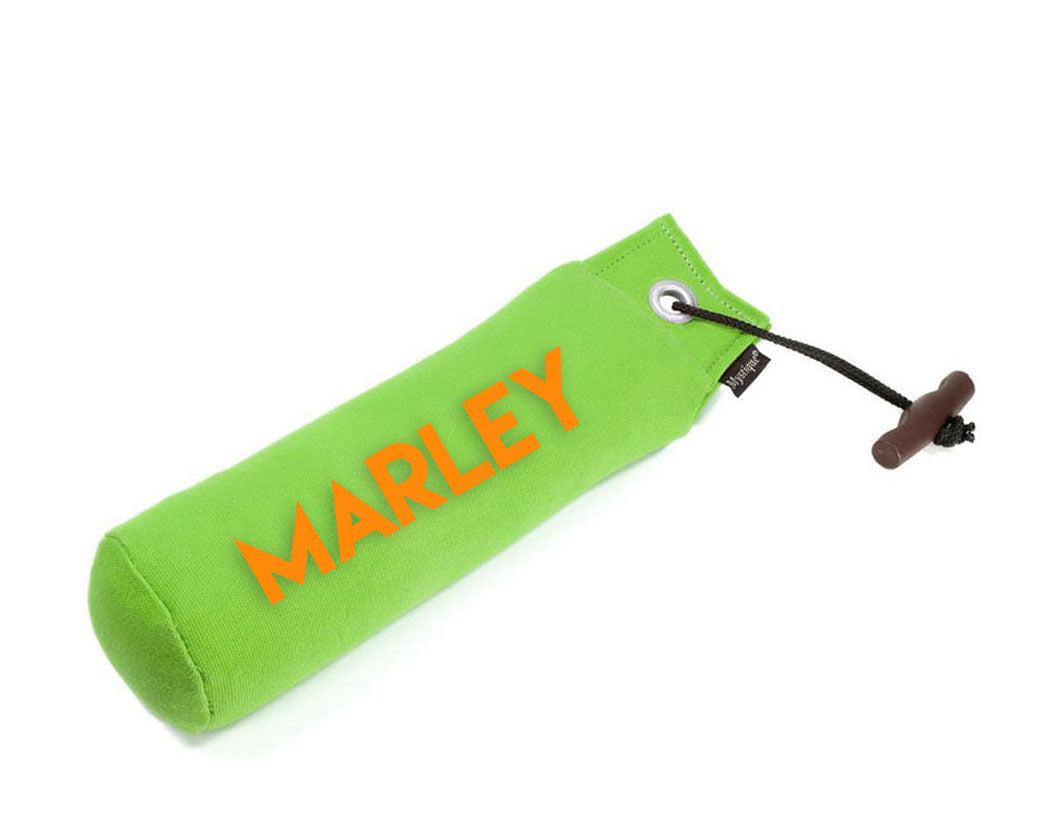 Personalisierter Mystique® Standard Dummy neongrün 250g / 500g