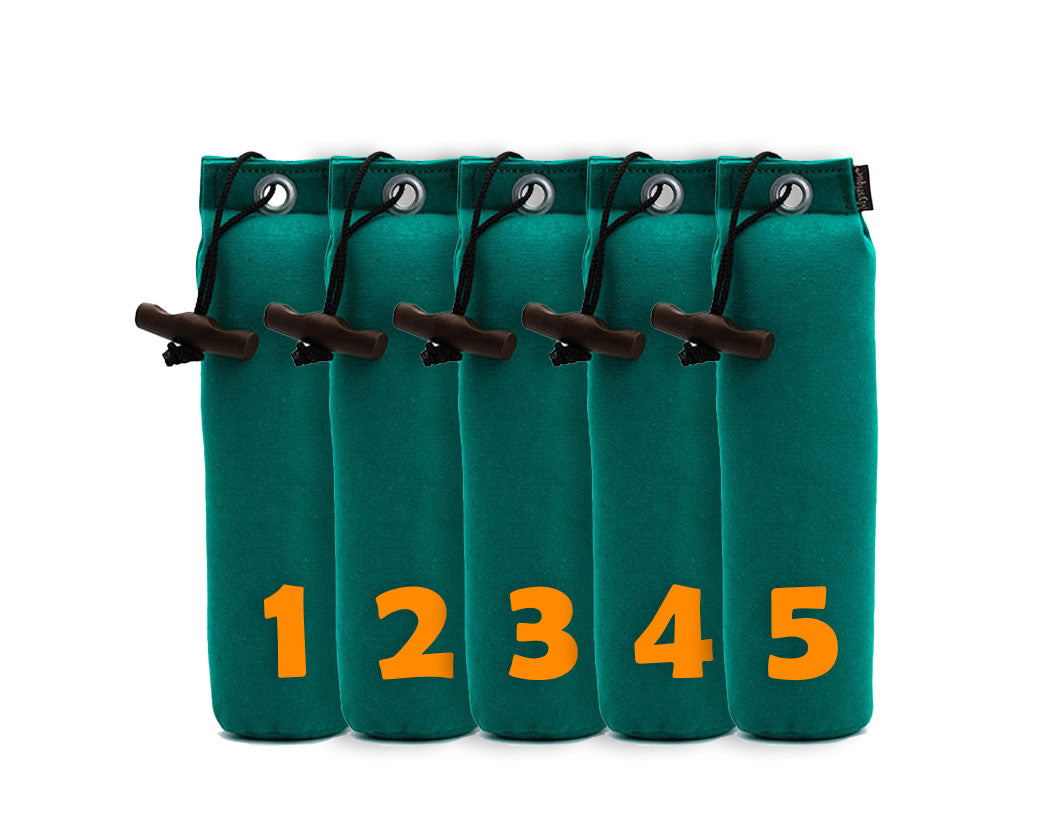 Mystique® Standard Dummy 5er Set mit Zahlen 250g / 500g