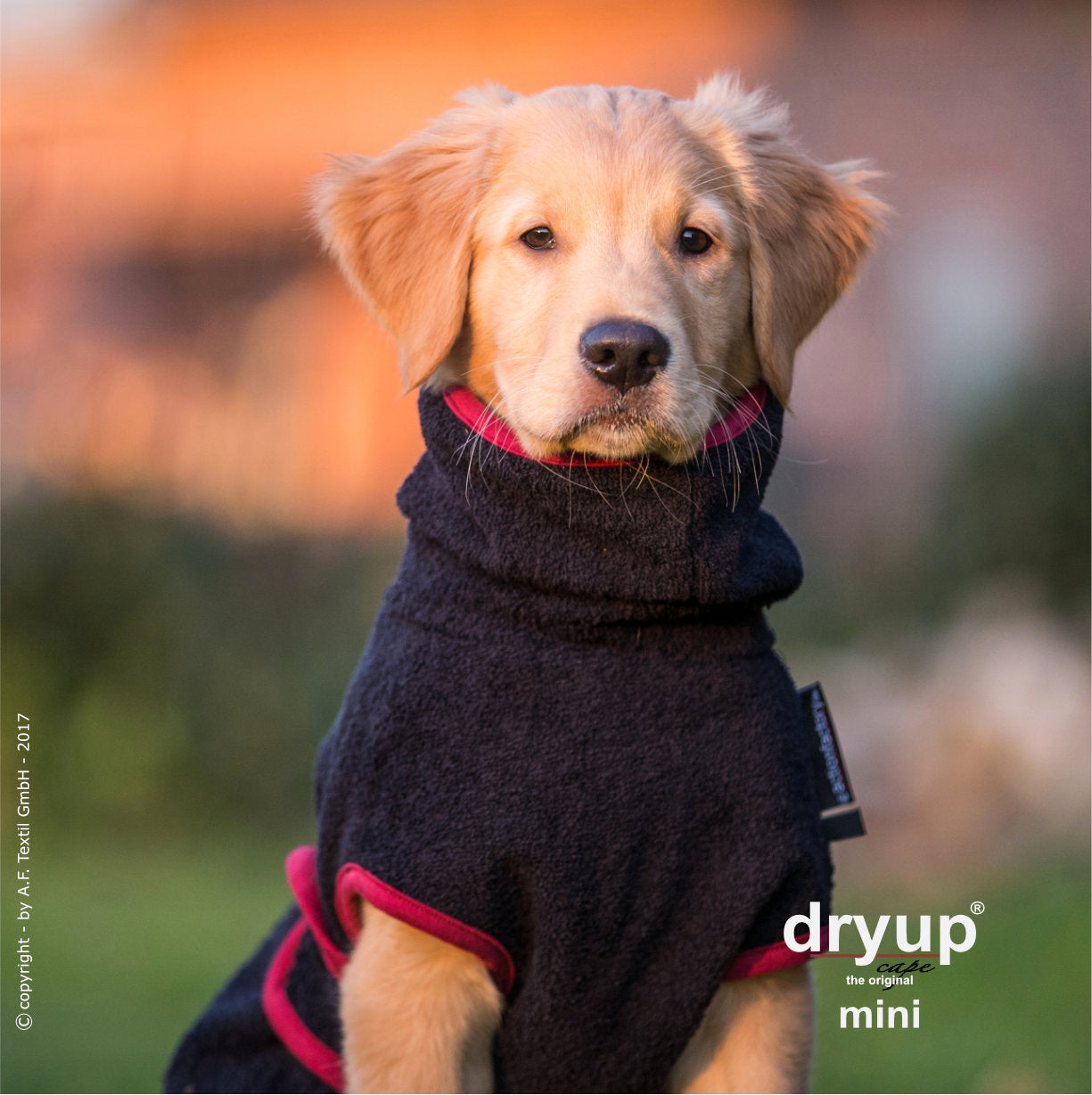 dryup® capes mini