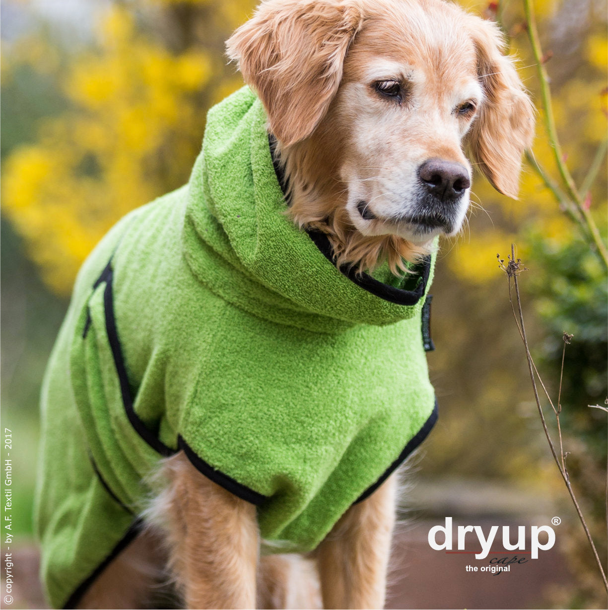 dryup® capes