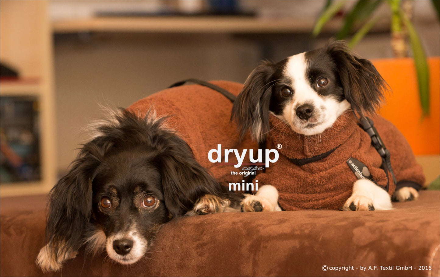 dryup® capes mini