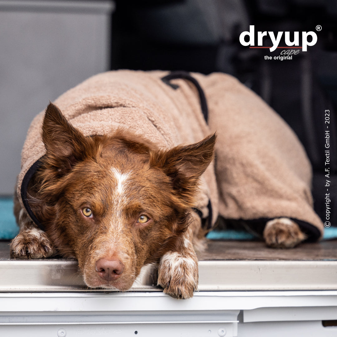 dryup® capes