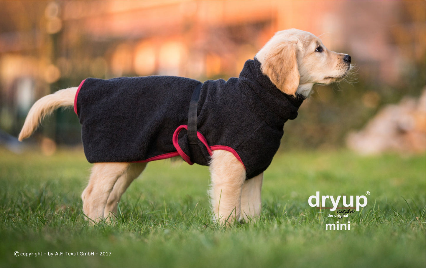 dryup® capes mini