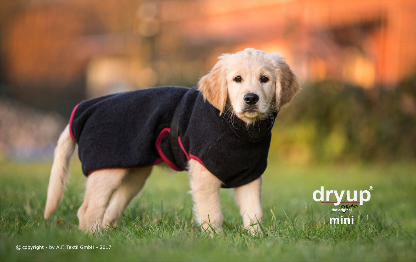 dryup® capes mini