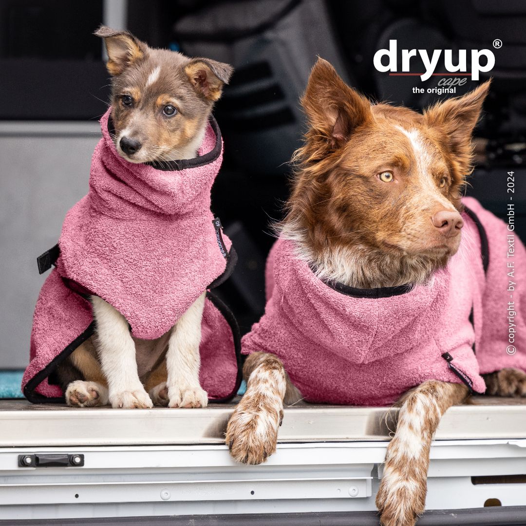 dryup® capes
