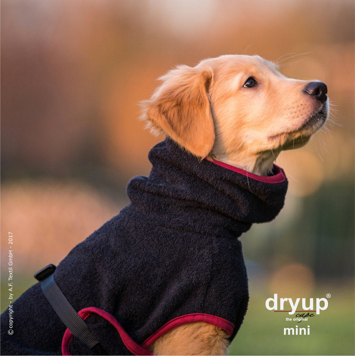 dryup® capes mini