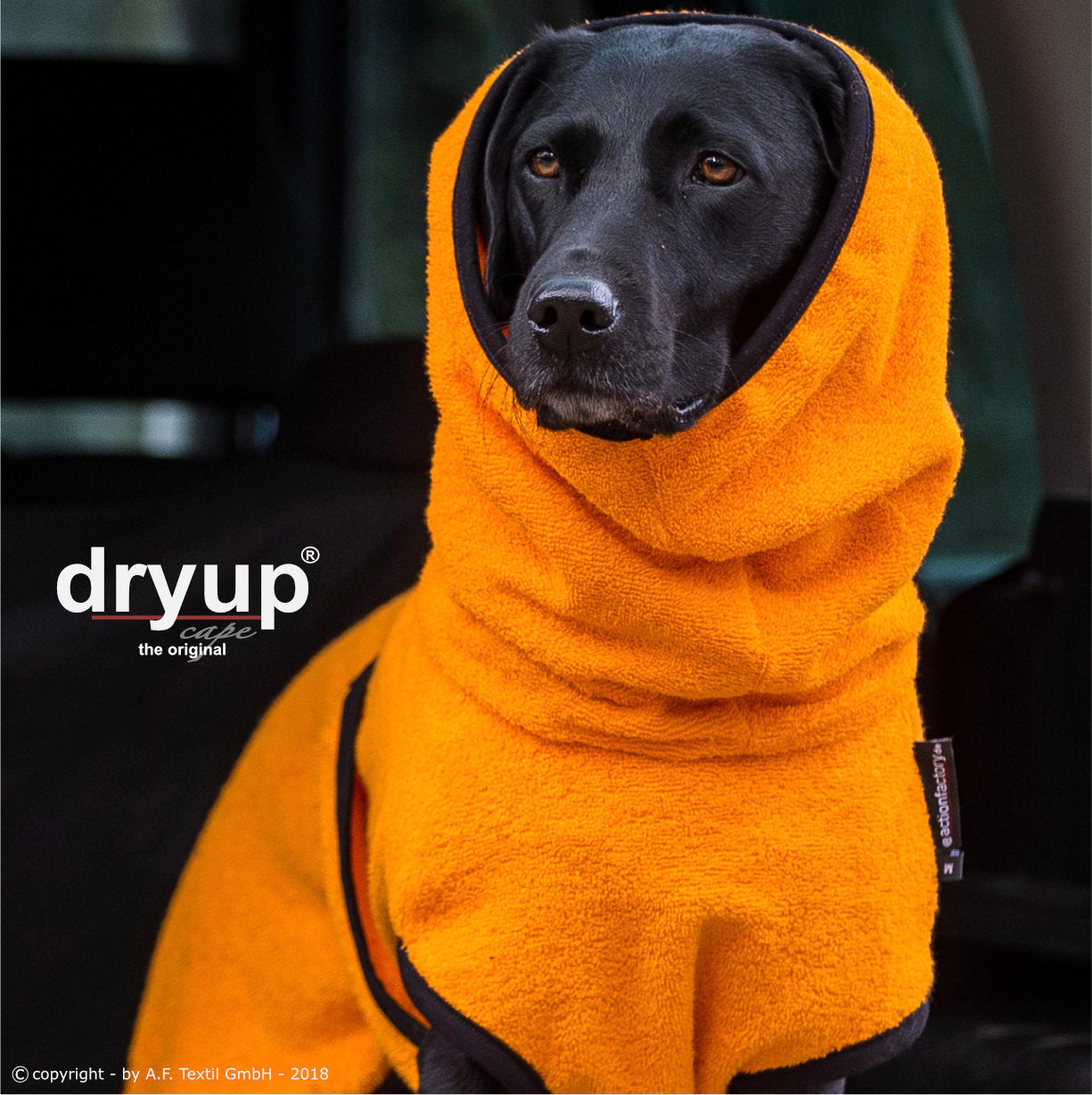 dryup® capes