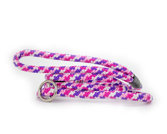 Basic Retrieverleine Dana