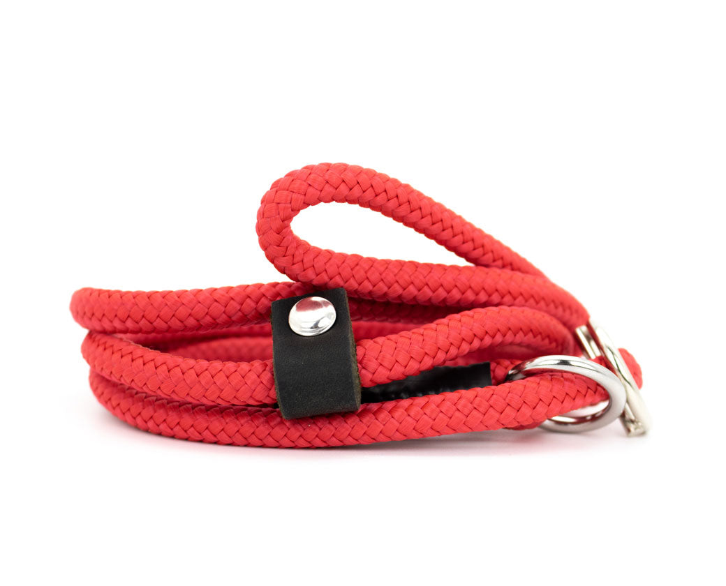 Basic Retrieverleine Enna