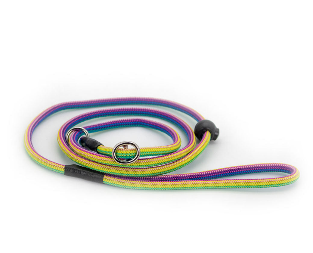 Basic Retrieverleine Imara