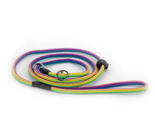 Basic Retrieverleine Imara