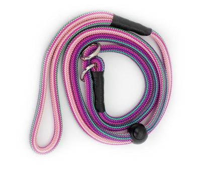 Basic Retrieverleine Taja