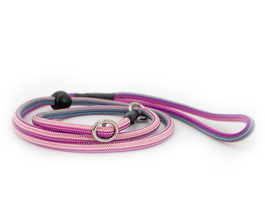 Basic Retrieverleine Taja