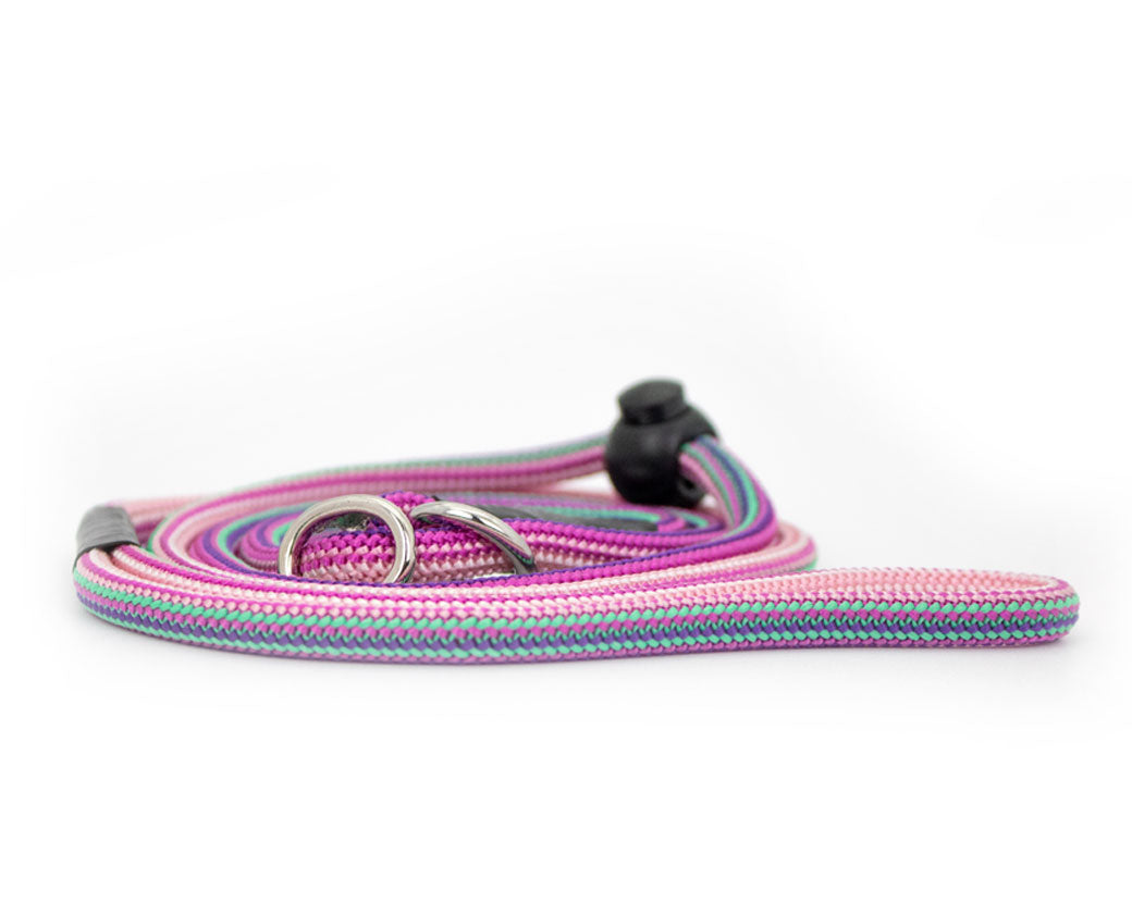 Basic Retrieverleine Taja