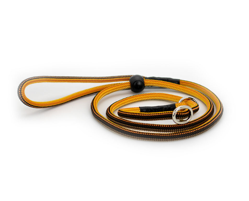 Basic Retrieverleine Cuma