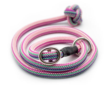 Basic Retrieverleine Taja