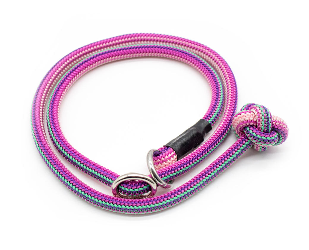 Basic Retrieverleine Taja