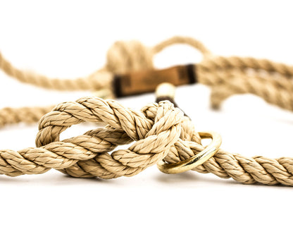 Premium Retrieverleine Alma