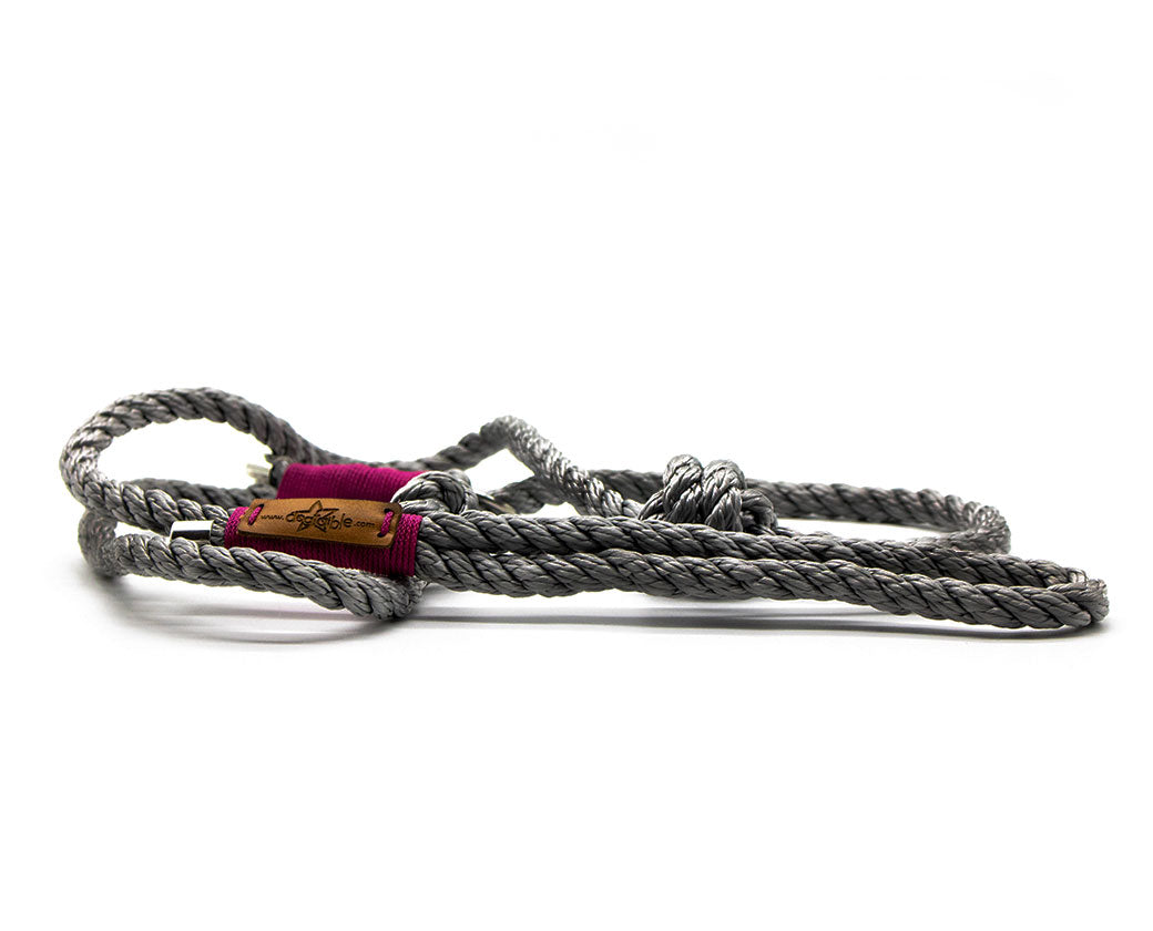 Premium Retrieverleine Josina