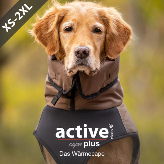 active© cape elastic plus