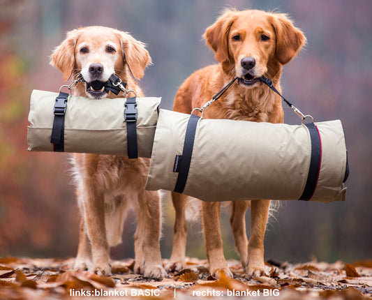 Hundedecke warmup©  blanket