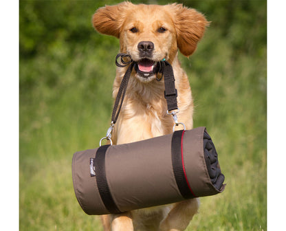 Hundedecke warmup©  blanket