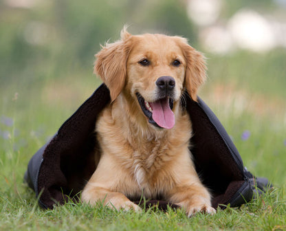 Hundedecke warmup©  blanket