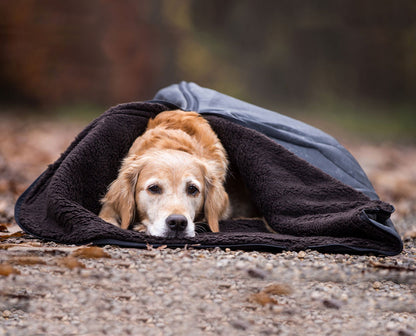 Hundedecke warmup©  blanket