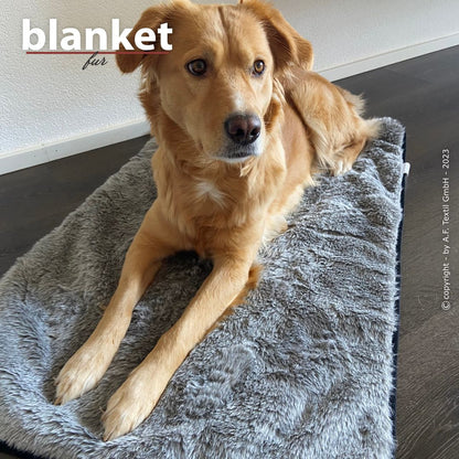 Hundedecke blanket fur
