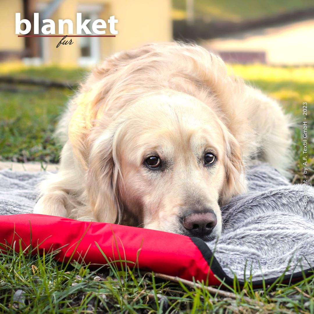 Hundedecke blanket fur