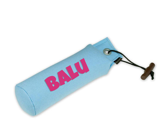 Personalisierter Mystique® Standard Dummy hellblau 250g / 500g