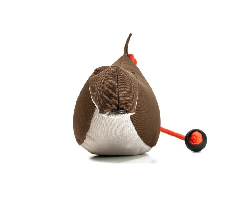 Mystique® Enten Dummy