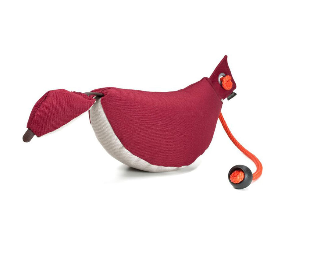 Mystique® Enten Dummy