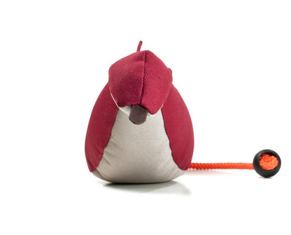 Mystique® Enten Dummy