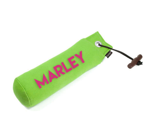 Personalisierter Mystique® Standard Dummy neongrün 250g / 500g