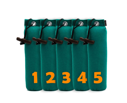 Mystique® Standard Dummy 5er Set mit Zahlen 250g / 500g