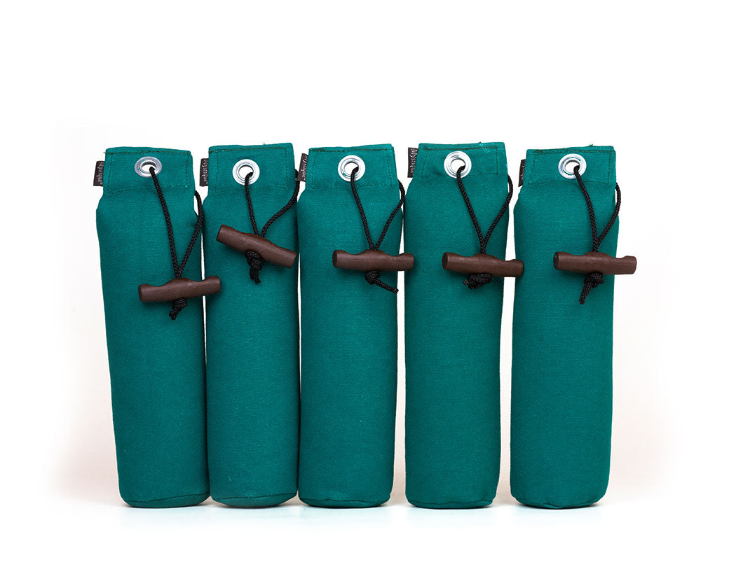 Mystique® Standard Dummy 5er Set 250g / 500g in grün