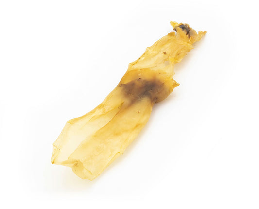 Kaninchenohr