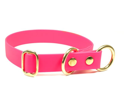 Biothane® Zugstopp Halsband